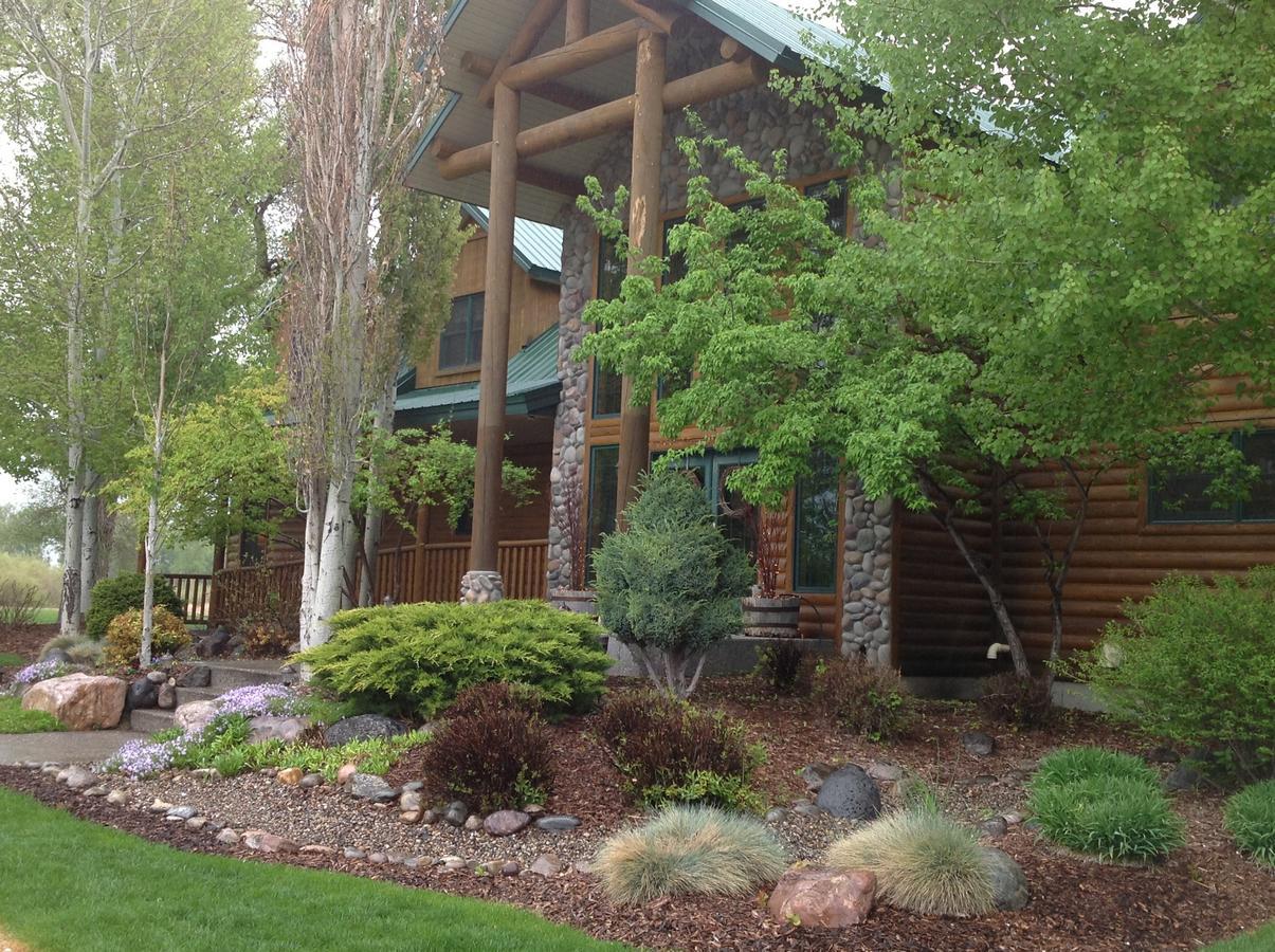 Blue Heron Inn Bed And Breakfast 雷克斯堡 外观 照片